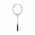 Rachete de badminton