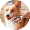 Îngrijirea animalelor de companie