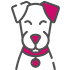 Produse pentru animale