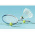 Tenis și badminton