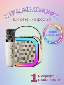 BOXA CU MICROFON / КОЛОНКА С МИКРОФОНОМ (ART:8918)