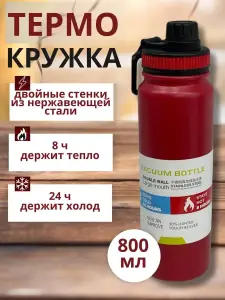 TERMOS PENTRU BAUTURI DIN INOX / ТЕРМОС ДЛЯ НАПИТКОВ ИЗ СТАЛИ (2579)
