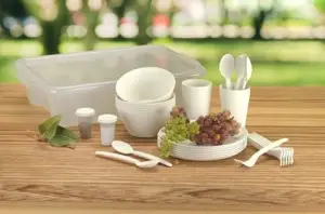 SET VESSELA PENTRU PICNIC PE 6 PERSOANE 32 PIESE BEROSSI / ПОСУДА ПОХОДНАЯ НА 6 ПЕРСОН 32 ПРЕДМЕТА BEROSSI (116701)