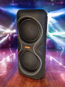 BOXA PORTABILA PENTRU KARAOKE / ПОРТАТИВНАЯ КОЛОНКА ДЛЯ КАРАОКЕ (MS-204BT)