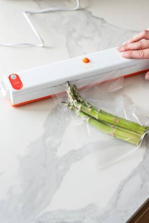APARAT DE VACUUMAT PRODUSE G-88/Упаковщик вакуумный G-88